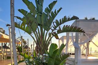 Emozioni floreali di Gaia - 9