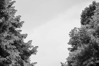 Alberto Cavazzoni - 4