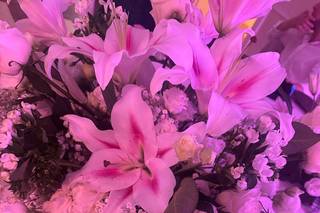 Angolo Fiorito di Barbara - 10