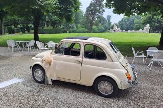 Alberto Cavazzoni - 6