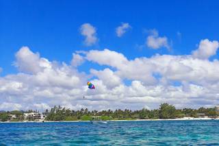 Valentina Solieri - Consulente CartOrange - 6