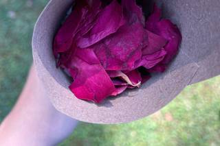 La Bottega dei Fiori - 10