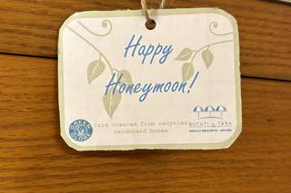 Challenger Viaggi - 4