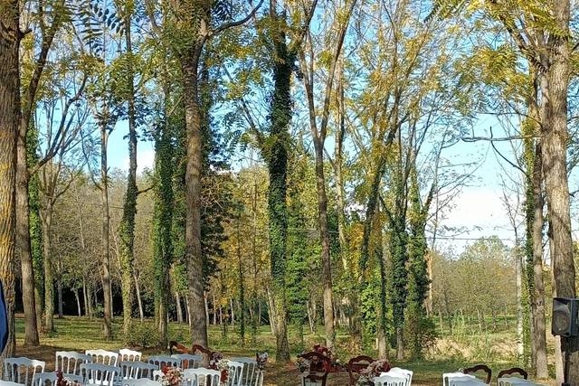 Villa Castellani 5