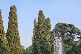 Pauline Wedding&Events - 6