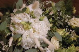 I fiori di Emelì - 5