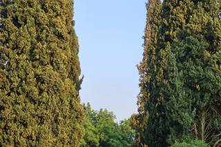 Pauline Wedding&Events - 7