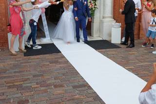 La Viola... e il Pensiero - 28