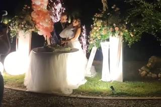 La Viola... e il Pensiero - 29