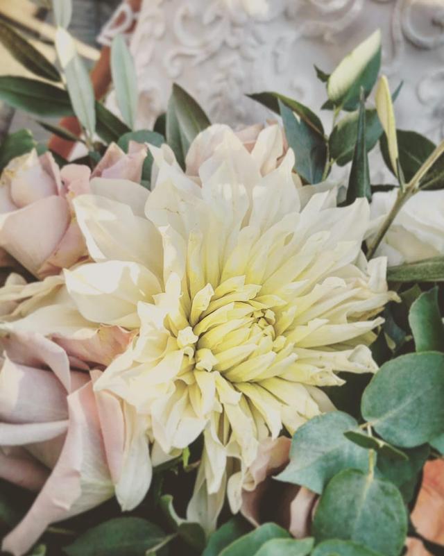 Claudia Moritz Wedding Planner - 2