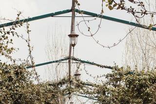 Robin Photography - 2