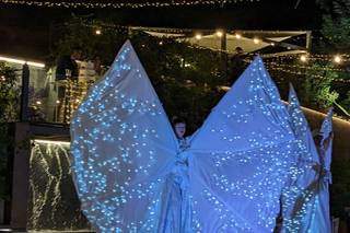 Sogni della Fenice - 23