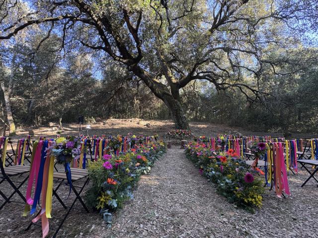 Casanatura Vivaio - 3