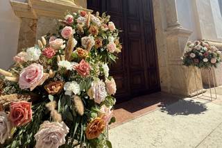 Vivaistica Zavarise - 5