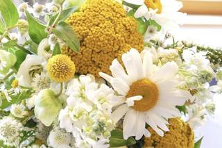 Cilindro&Bouquet - 12