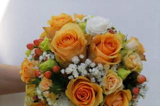 Nonsolofiori... - 27