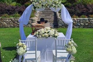 Colombo Fiori & Piante - 8