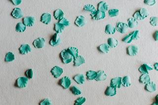 Il Paradiso dei Fiori - 6