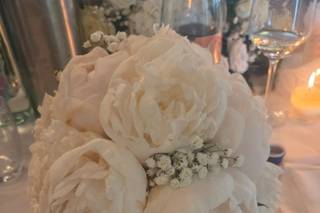 Colombo Fiori & Piante - 9