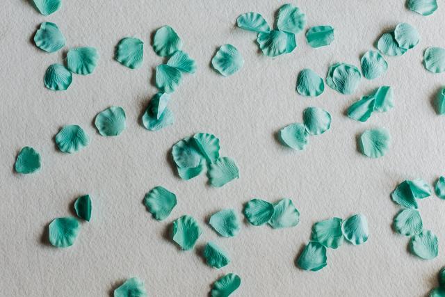 Il Paradiso dei Fiori - 3