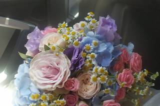 Pinto Flores di Yulia - 5