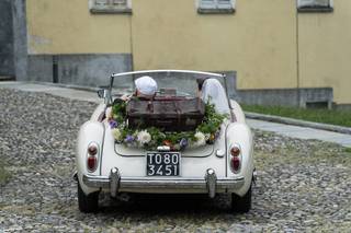 Floricoltura - Laura Bosisio - 6