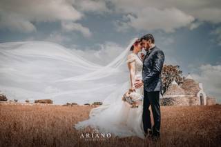Ariano Photography - 14