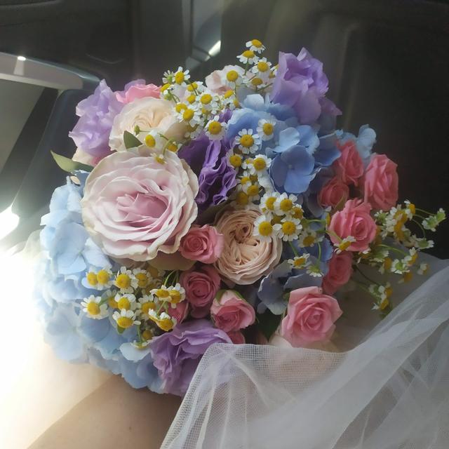 Pinto Flores di Yulia - 1