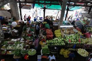 Gila Travel Specialist - 16