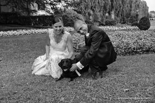 Lowedogs invitati a 4 zampe - 1