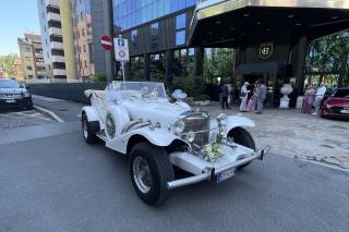 Le Auto di Magnolia - 14