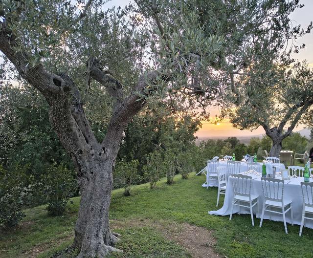 Tenuta Terra e Sole - 4
