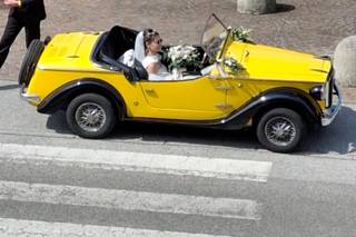 Dell'Oro Classiche - 2