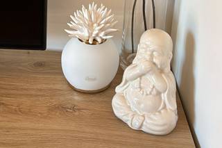 Candida Celiento - 9