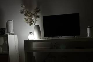 Candida Celiento - 10