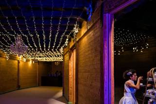 Il Pesco Selvatico - 8