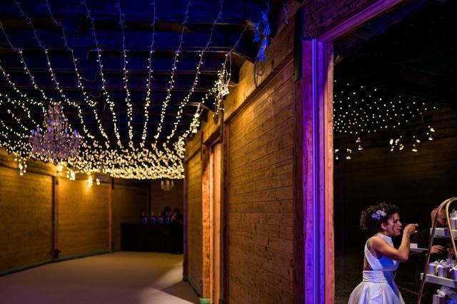 Il Pesco Selvatico - 1