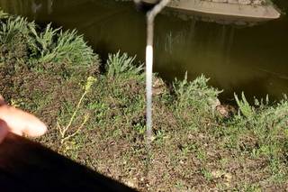 Il Rifugio del Falconiere - 5