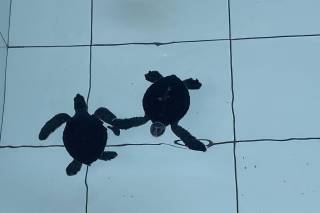 Il Tuo Viaggio Perfetto - 5