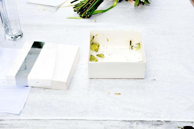 Farfalle per Eventi - Forniture in tutto il territorio nazionale - 4