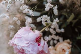 Francesca Vecchi Photography - 14
