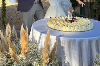 Tenuta dell'Olmo - 6