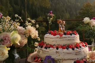 Pinto Flores di Yulia - 10