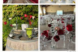 Tenuta dell'Olmo - 7