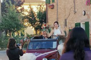 La Due Cavalli di Luca Malagoli - 5