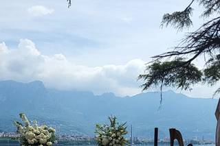 Di Fiore In Fiore - 9