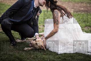 Cinoagonistica Lanciani - 5