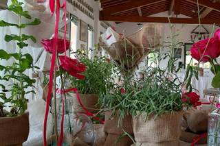 PepeRosa Bomboniere - 5