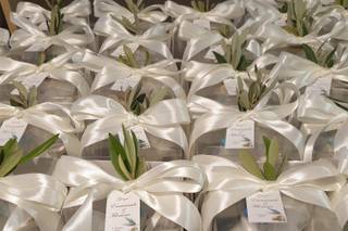 Daedalus Ceramiche - 5