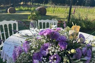 Bianchi Fiori e Piante - 7